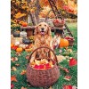 Puzzle Adulte 5000 Pièces Classique Kit Bricolage Jouet en Bois Cadeau Unique Décor À La Maison chien-5000Pièces