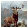 YJPZZG Puzzle Unique De 5000 PièCes Wapiti Les Jeux Familiaux DéFient des Cadeaux Uniques Taille finie 156×105cm