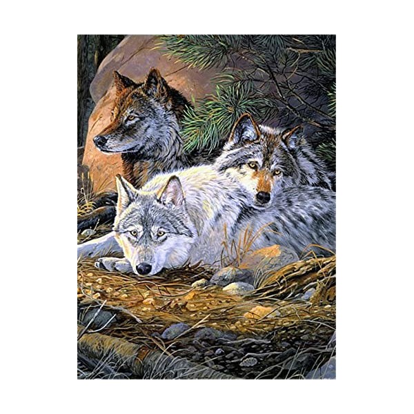 YJPZZG Puzzle Unique De 5000 PièCes Loup Puzzle Enfant 3 4 5 6 Ans Puzzle en Bois Cadeau Taille finie 156×105cm