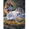 YJPZZG Puzzle Unique De 5000 PièCes Loup Puzzle Enfant 3 4 5 6 Ans Puzzle en Bois Cadeau Taille finie 156×105cm