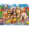 YJPZZG Puzzle Unique De 5000 PièCes Dalmatien Les Jeux Familiaux DéFient des Cadeaux Uniques Taille finie 156×105cm