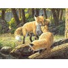 YJPZZG Puzzle Unique De 5000 PièCes Renard Casse-TêTes De La Saint-Sylvestre, Casse-TêTes pour Adultes Et Enfants De Plus De 