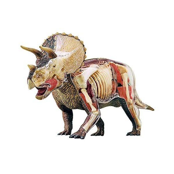 BYBEST modèle danatomie Modèle éducatif Simulation Triceratops modèle Dinosaure Anatomie modèle détachable 42 pièces pour en