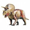 BYBEST modèle danatomie Modèle éducatif Simulation Triceratops modèle Dinosaure Anatomie modèle détachable 42 pièces pour en