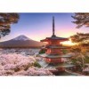 Ravensburger - Puzzle 1000 pièces - Cerisiers en fleurs du Mont Fuji - Adultes et enfants dès 14 ans - Puzzle de qualité supé