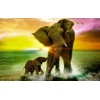 Puzzles pour Adultes 1000 PièCes Puzzles Tableau Éléphant en Bois Puzzle Hands on Game Famille DéCoration F6, 1000 pièces 