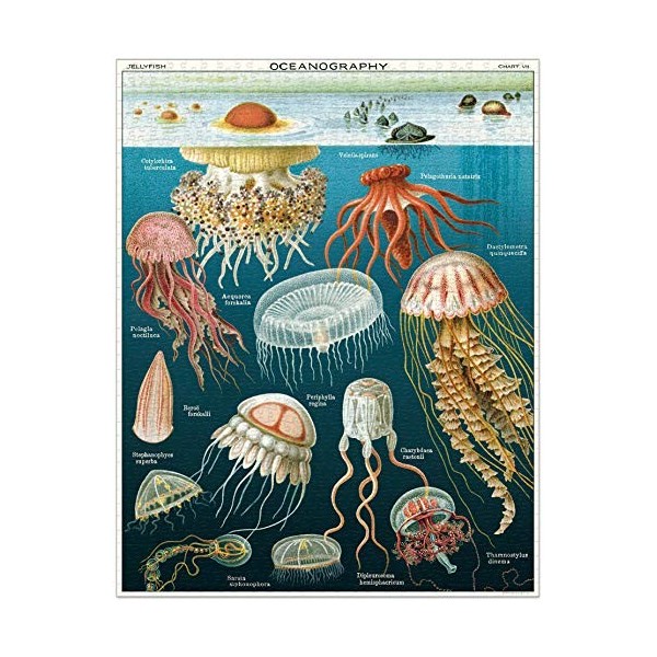 Cavallini Papers & Co.- Puzzle Jelly Fish 1 000 pièces, PZL, Multicolore, 1000