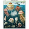 Cavallini Papers & Co.- Puzzle Jelly Fish 1 000 pièces, PZL, Multicolore, 1000