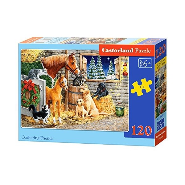 Castorland Puzzle Classique Gathering Friends 120 pièces, B-13340-1, Multicolore