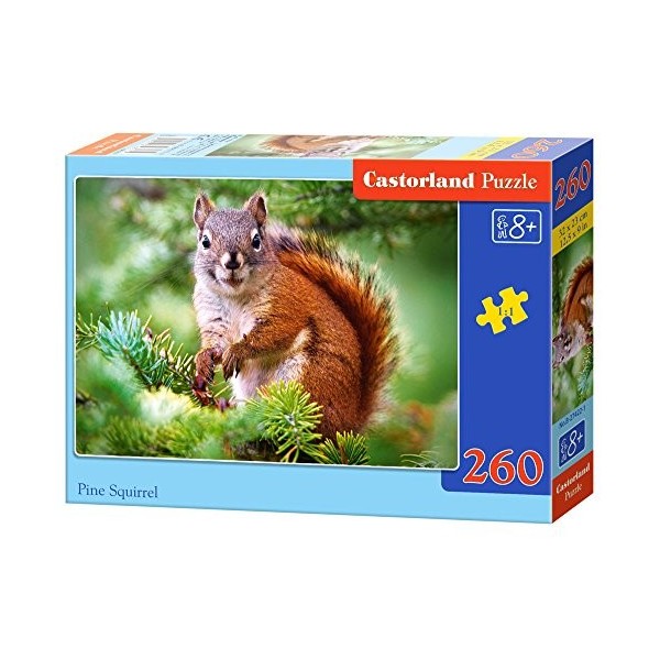 Castorland - B-27422-1 - Puzzle - Écureuil dans Le Sapin - 260 Pièces