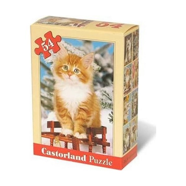 Puzzle 54 pièces - Mini puzzle : Pause hivernale du chaton roux