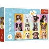 Trefl- Chiots Mignons 60 Pièces-Puzzles Colorés avec Les Animaux, Chiens, Collage, Divertissement Créatif, Jeu pour Enfants P