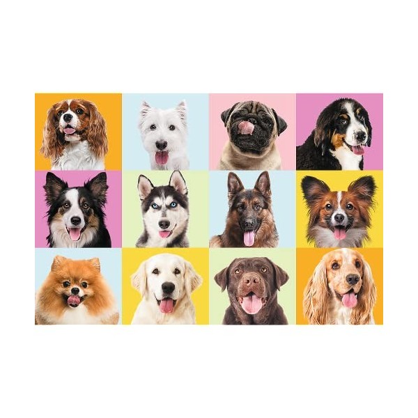 Trefl- Chiots Mignons 60 Pièces-Puzzles Colorés avec Les Animaux, Chiens, Collage, Divertissement Créatif, Jeu pour Enfants P