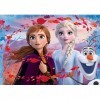 Lisciani, Puzzle pour enfants à partir de 4 ans, 60 pièces, 2 en 1 Double Face Recto / Verso avec le dos à colorier - Disney 