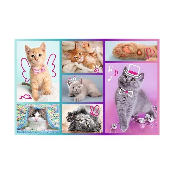 Trefl- Chatons Mignons 60 éléments-Puzzles Colorés avec Les Animaux, Chats, Collage, Divertissement Créatif, Jeu pour Enfants