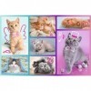 Trefl- Chatons Mignons 60 éléments-Puzzles Colorés avec Les Animaux, Chats, Collage, Divertissement Créatif, Jeu pour Enfants