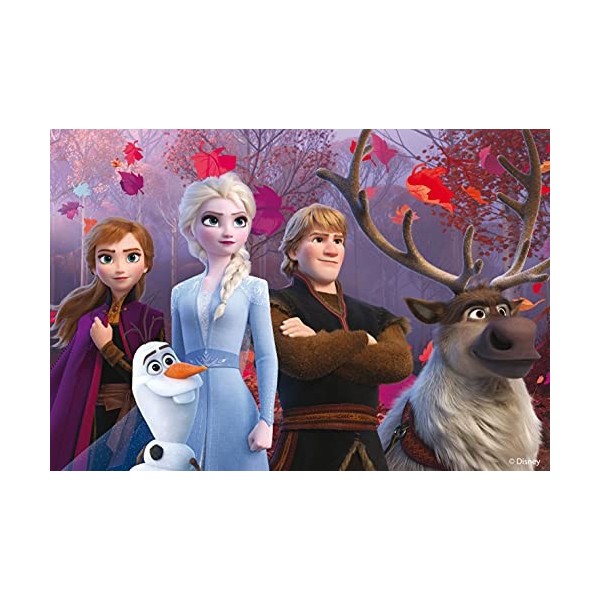Lisciani - Disney Puzzle La Reine des Neiges - 2 Puzzles de 24 Pièces - Double Face - Verso A Colorier - Jeu Educatif - A par