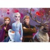 Lisciani - Disney Puzzle La Reine des Neiges - 2 Puzzles de 24 Pièces - Double Face - Verso A Colorier - Jeu Educatif - A par