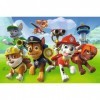 Trefl 916 17321 60pcs Paw Patrol Puzzle, Multi-Colored