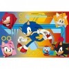 Trefl The Hedgehog, Action 60 éléments-Puzzle coloré avec Les Personnages Sonic, Divertissement créatif, Jeu pour Les Enfants