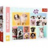 Trefl- Amitié Puzzles Colorés avec Les Animaux, Collage, Chiens, Divertissement Créatif, Jeu pour Enfants Plus de 6 Ans, 1541