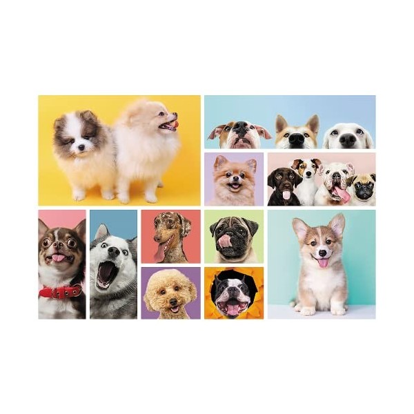 Trefl- Amitié Puzzles Colorés avec Les Animaux, Collage, Chiens, Divertissement Créatif, Jeu pour Enfants Plus de 6 Ans, 1541