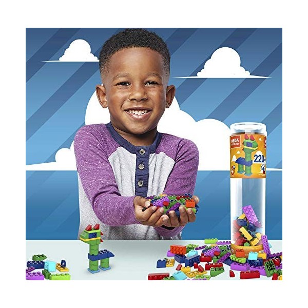 Mega Construx Wonder Builders, tube de 220 briques de construction, jeu pour enfant dès 4 ans, GVM51