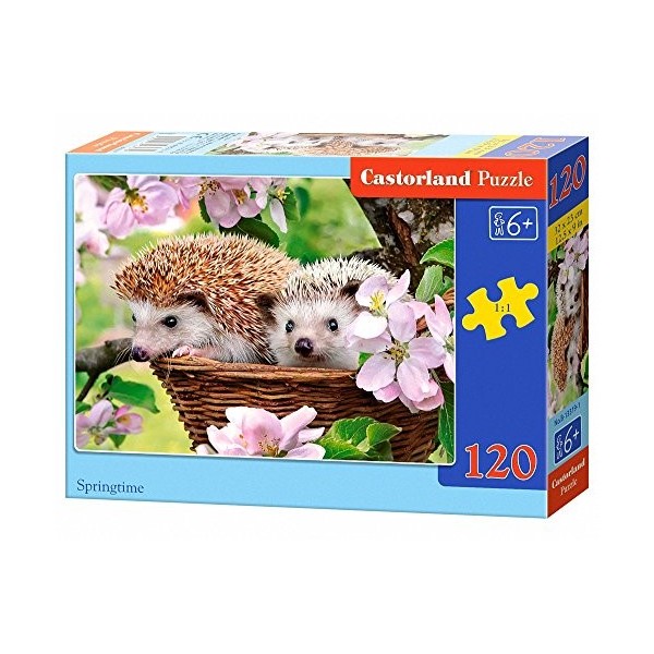 Castorland - B-13319-1 - Puzzle - Hérisson au Printemps - 120 Pièces