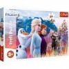 Trefl- Magische Reise, Frozen 2 24 Maxi Pièces, pour Enfants à partir de 3 Ans Puzzle, TR14298, Un Voyage Magique, Disney La 