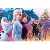 Trefl- Magische Reise, Frozen 2 24 Maxi Pièces, pour Enfants à partir de 3 Ans Puzzle, TR14298, Un Voyage Magique, Disney La 