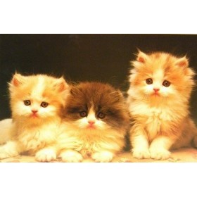 Clementoni 02015 Puzzle pour enfant 200 pièces – 3 petits chatons 39 x 28,5 cm 