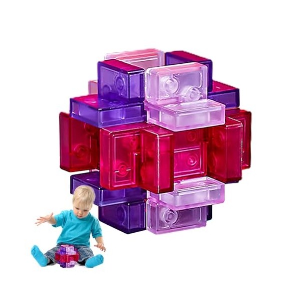 Whrcy Puzzles cérébraux pour Adultes | Débloquez des Jeux de Puzzle imbriqués - Casse-tête, Jouet éducatif, Test de QI, Jouet