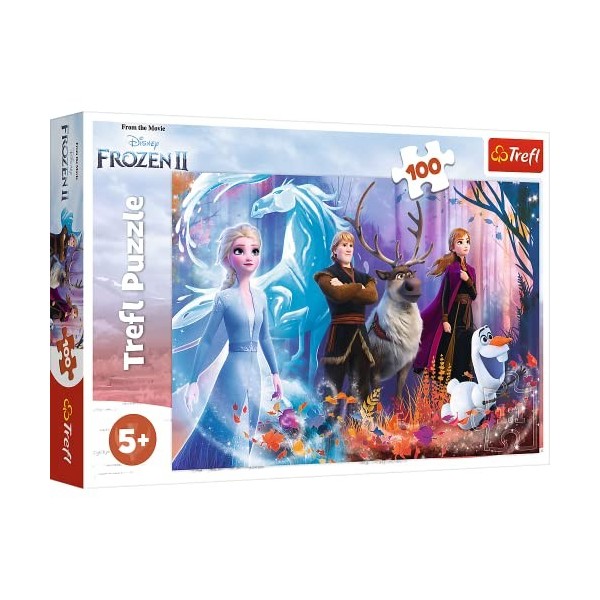 Trefl- Disney Frozen 100 Pièces pour Enfants à partir de 5 Ans Puzzle, 10IT5900511163667IT10, Magie de la Reine des Neiges Di