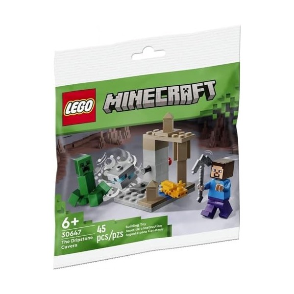 LEGO Minecraft The Dripstone Cavern 30647 Sac en plastique Multicolore 6432544 