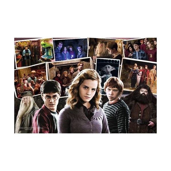 Trefl Amis 160 éléments-Puzzles avec Les Films Harry Potter, Collage, Divertissement Créatif, Amusement pour Les Enfants à Pa