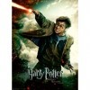 Ravensburger - Puzzle Enfant - Puzzle 100 pièces XXL - Le monde fantastique d’Harry Potter - Garçon ou fille dès 6 ans - Puzz