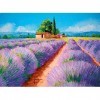 Clementoni Lavender Scent, 35073, Multicolore