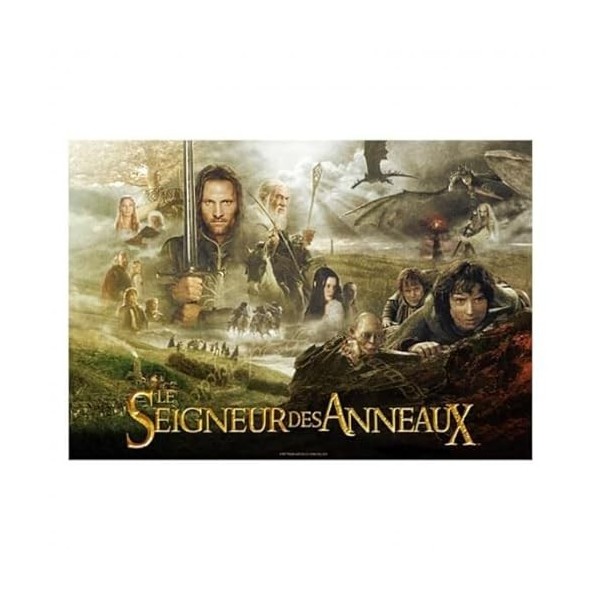 SD toys - Puzzle Le Seigneur Des Anneaux - Poster Français 1000pcs - 8435450252891