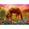 Trefl-Chevaux dans la Prairie-Puzzle 500 éléments-Puzzle pour Les Amoureux des Animaux, Chevaux, DIY, Amusement, Puzzles Clas