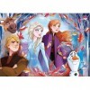 Clementoni- Disney La Reine des Neiges 2, 26058, Multicolore