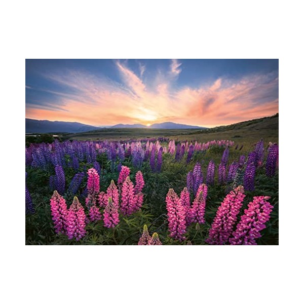 Ravensburger - Puzzle Adulte - Puzzle 500 pièces - Les lupins Nature edition - Adultes et enfants dès 12 ans - Puzzle de qu