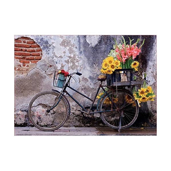 Educa - Puzzle de 500 pièces pour Enfants et Adultes | Bicyclette avec des Fleurs. Comprend Fix Puzzle Tail pour laccrocher 