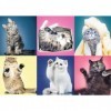Trefl 916 37377 Kätzchen EA 500 Teile, Premium Quality, für Erwachsene und Kinder AB 10 Jahren 500pcs Kittens