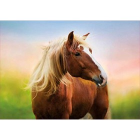 Educa - Puzzle de 500 pièces pour Enfants et Adultes Cheval au Lever du Soleil. Comprend Fix Puzzle Tail pour laccrocher Une
