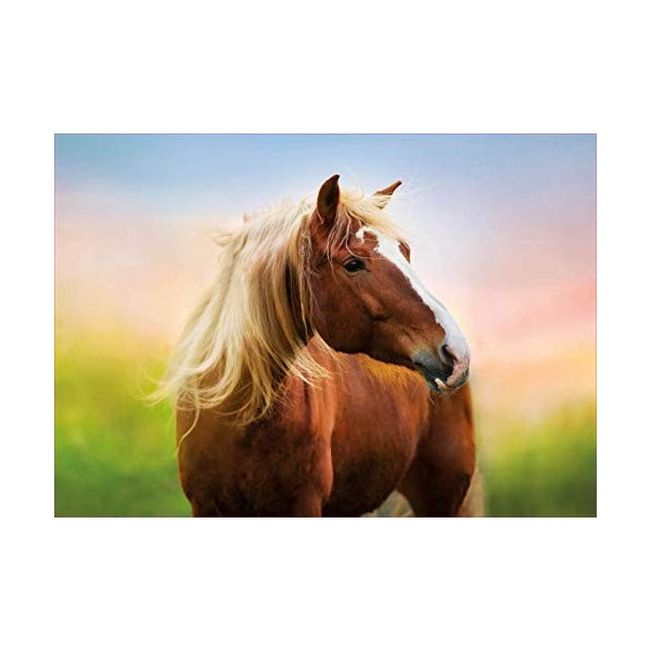 Educa - Puzzle de 500 pièces pour Enfants et Adultes Cheval au Lever du Soleil. Comprend Fix Puzzle Tail pour laccrocher Une