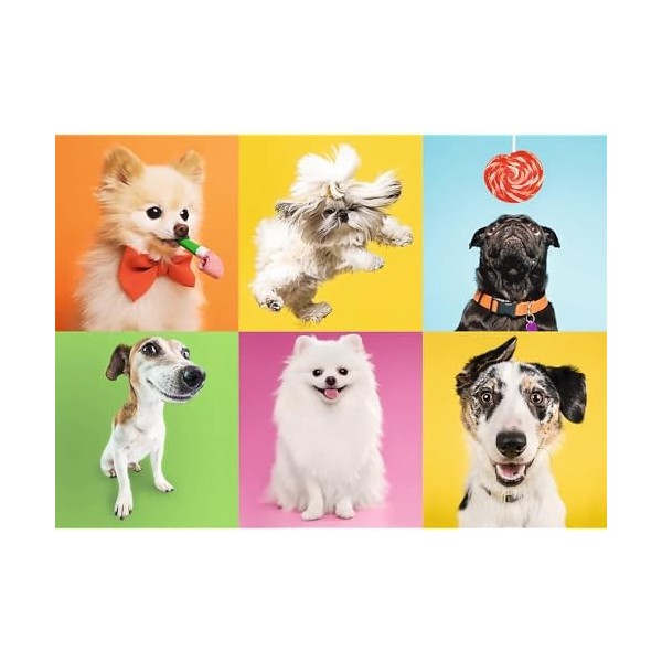 Trefl Puzzle, Chiens, 500 Pièces, Qualité Premium, pour Adultes et Enfants à partir de 10 Ans, 37378