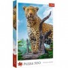 Trefl Puzzle, Léopard Sauvage, 500 Pièces, Qualité Premium, pour Adultes et Enfants à partir de 10 Ans, TR37332