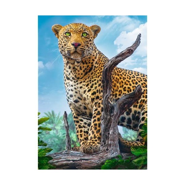 Trefl Puzzle, Léopard Sauvage, 500 Pièces, Qualité Premium, pour Adultes et Enfants à partir de 10 Ans, TR37332