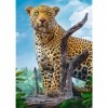 Trefl Puzzle, Léopard Sauvage, 500 Pièces, Qualité Premium, pour Adultes et Enfants à partir de 10 Ans, TR37332