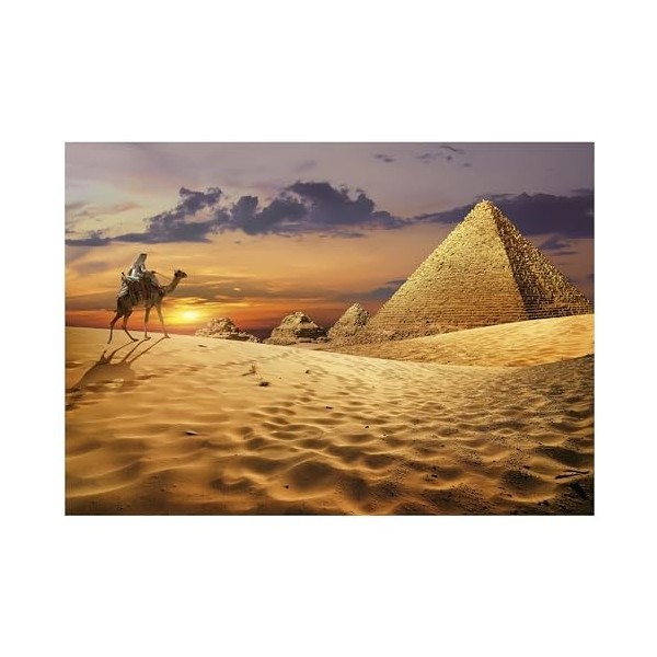 Educa - Puzzle de 1000 pièces pour Adultes | Camel dans Le désert. Mesure : 68 x 48 cm. Comprend Fix Puzzle Tail pour laccro